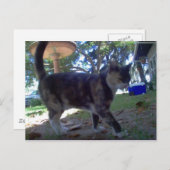 カリオペ ポストカード (正面/裏面)