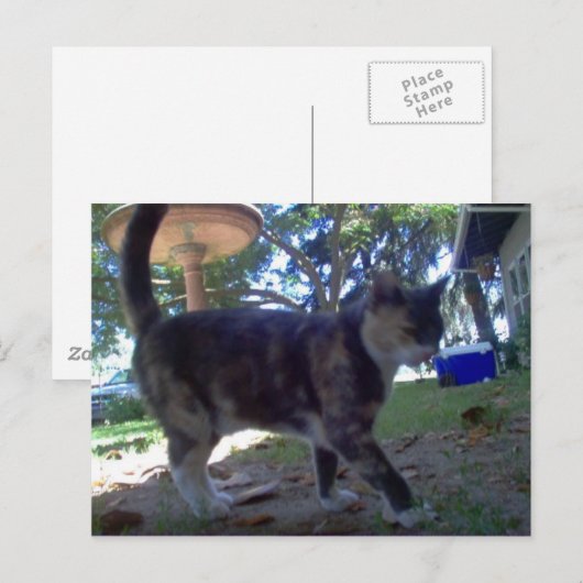 カリオペ ポストカード (正面/裏面)