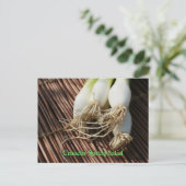 カリカリ春サラダ ポストカード (スタンド正面)