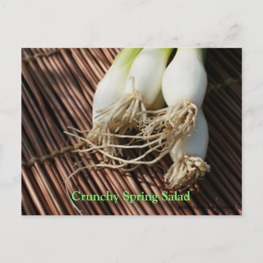 カリカリ春サラダ ポストカード (正面)