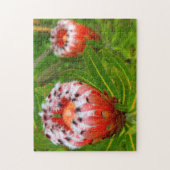 カリカリ開花11x14インチ ジグソーパズル (縦)
