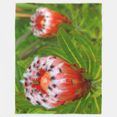 カリカリ開花 フリースブランケット (正面)