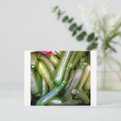 カリカリ ポストカード (スタンド正面)