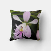 カリガリウム クッション (裏面)