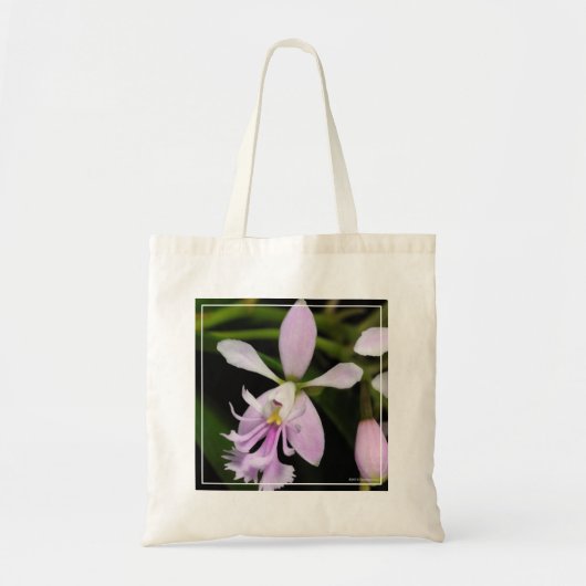 カリガリウム トートバッグ (正面)