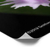 カリガリウム ポスター (角)