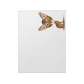 カリキュティアビシニアン ノートパッド (回転)