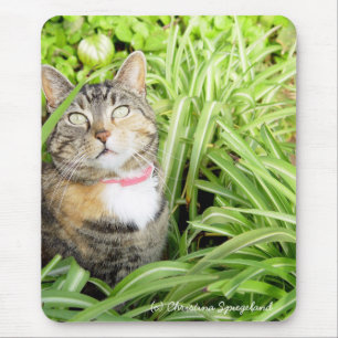 カリコかわいらしキャットマウスパッド マウスパッド
