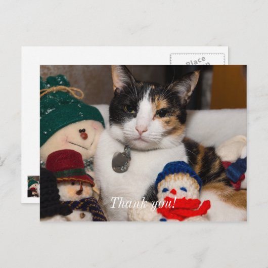 カリコねこが雪だるまにハグする感謝を伝えるポストカード ポストカード (正面/裏面)