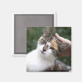 カリコは脳卒中を楽しむ マグネット (正面/裏面)