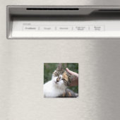 カリコは脳卒中を楽しむ マグネット (インサイチュ (食洗機))