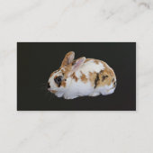 カリコウサギ 名刺 (裏面)