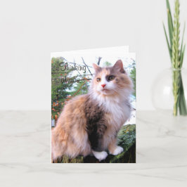 カリコカスタムキャッ考えるト・オブ・ユー カード