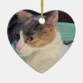 カリコキャットインキャットベッド セラミックオーナメント (正面)