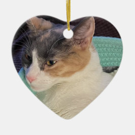 カリコキャットインキャットベッド セラミックオーナメント