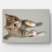 カリコキャットジャンプ フォトプラーク (正面)