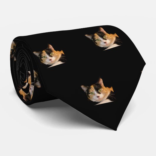 カリコキャットタイ ネクタイ (ロール)