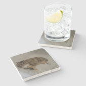 カリコキャットドリンクコースター ストーンコースター (横)