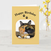 カリコキャットハッピーバースデー カード (黄色い花)