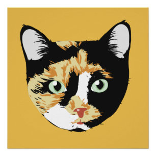 カリコキャットボニータ ポスター