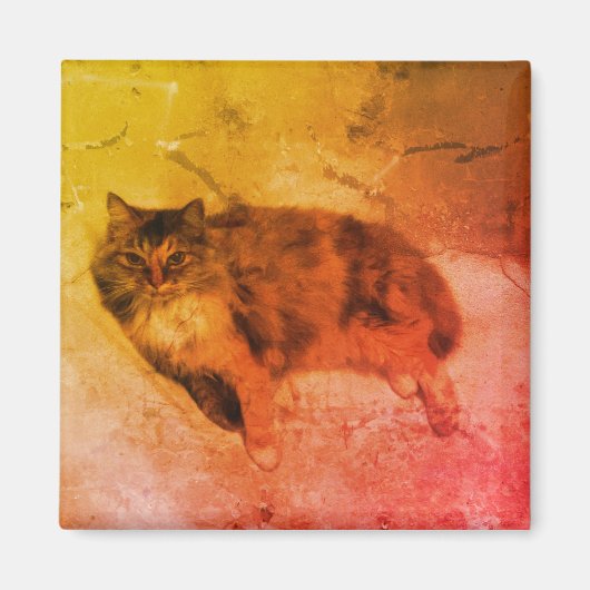 カリコキャットマグネット マグネット (正面)