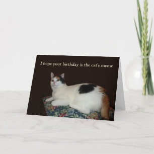 カリコキャット誕生日 カード