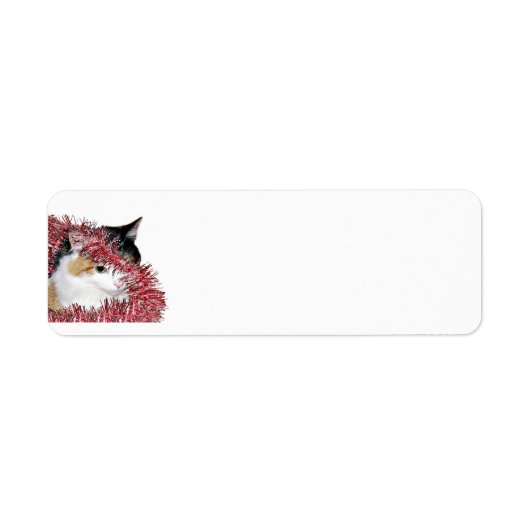 カリコクリスマス子猫 ラベル (正面)