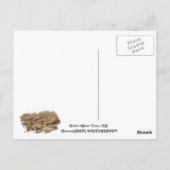 カリコクール幽霊タウンはがき! ポストカード (裏面)