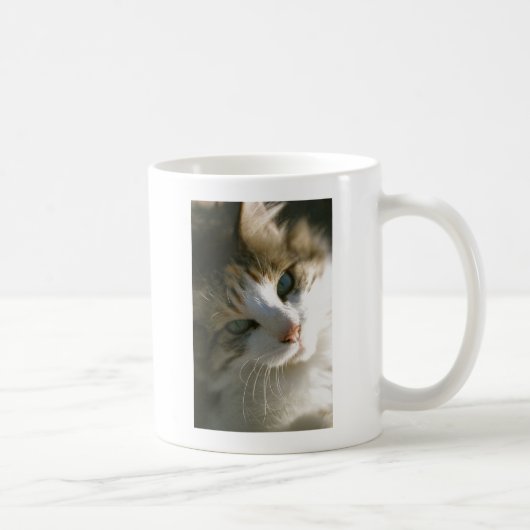 カリコタイガーキャット コーヒーマグカップ (右)