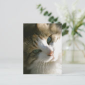 カリコタイガーキャット ポストカード (スタンド正面)