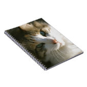 カリコタイガー子猫 ノートブック (右側)