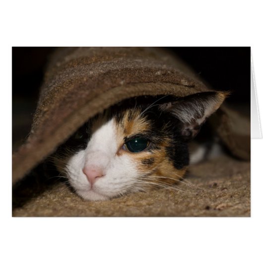 カリコタコグリーティングカード (正面横)