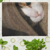 カリコタコ キッチンタオル (折り畳み)