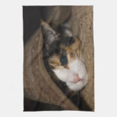 カリコタコ キッチンタオル (縦)