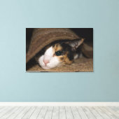 カリコタコ キャンバスプリント (インサイチュ (ウッドフロア))