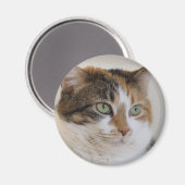 カリコタブビーキャット顔 マグネット (正面/裏面)