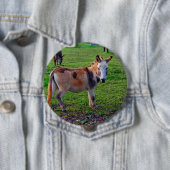 カリコドンキー 缶バッジ (インサイチュ)