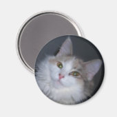 カリコプリンセス マグネット (正面/裏面)