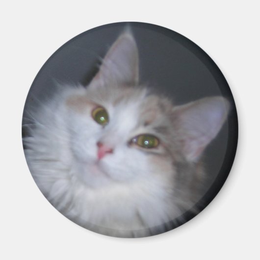 カリコプリンセス マグネット (正面)