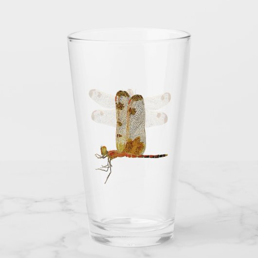 カリコペナントドラゴンフライビアグラス タンブラーグラス (正面)