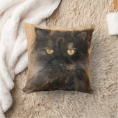 カリコペルシア猫 クッション (ブランケット)