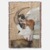 カリコヤギ スローブランケット (正面縦)