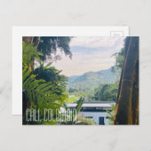 カリコロンビア、ジャングル ポストカード (正面/裏面)