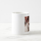 カリコ子猫マグ コーヒーマグカップ (中央)