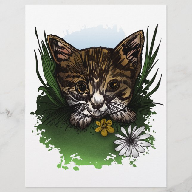 カリコ子猫 (正面)
