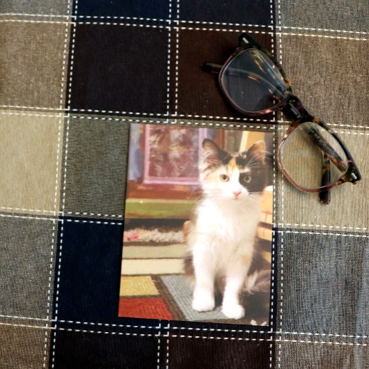 カリコ子猫 ポストカード