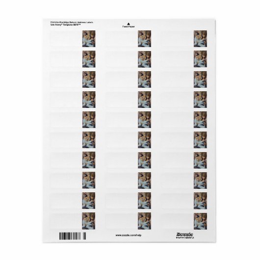 カリコ子猫 ラベル (フルシート)