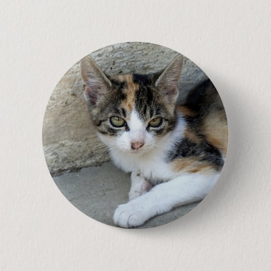 カリコ子猫 缶バッジ (正面)