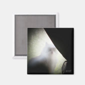 カリコ幽霊キャットバイジョネイル マグネット (正面/裏面)