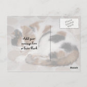 カリコ猫がベッドで巻き上がった ポストカード (裏面)